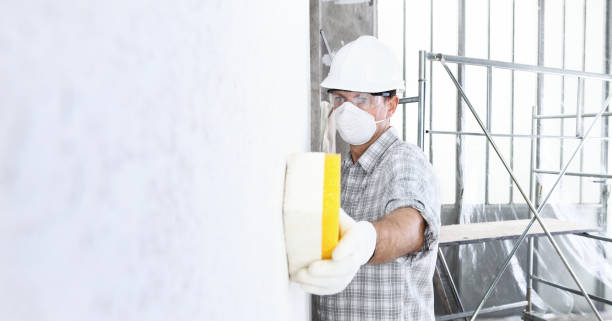 Why You Should Choose Our Mold Remediation Services in Anton, TX